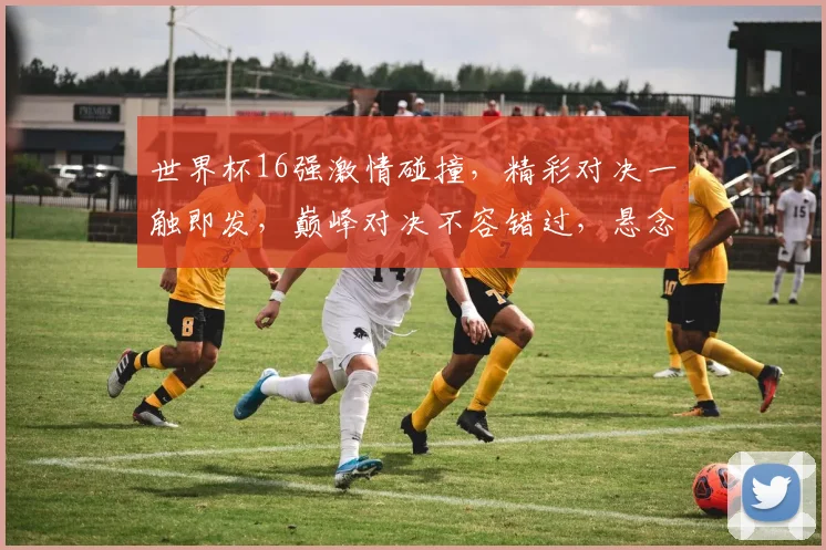 世界杯16强激情碰撞，精彩对决一触即发，巅峰对决不容错过，悬念迭起