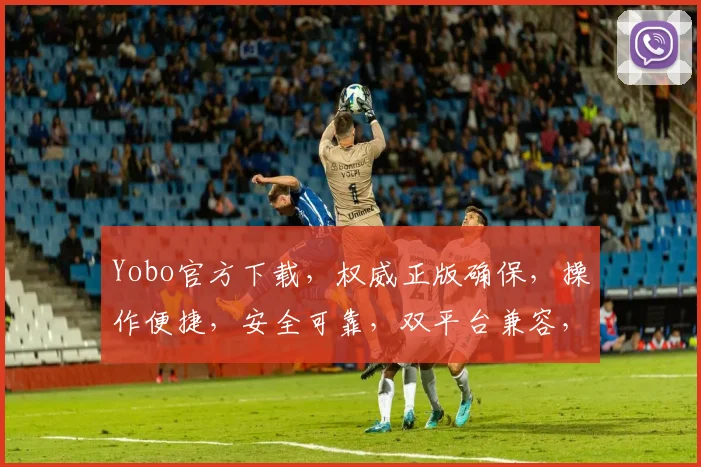 Yobo官方下载，权威正版确保，操作便捷，安全可靠，双平台兼容，必备软件