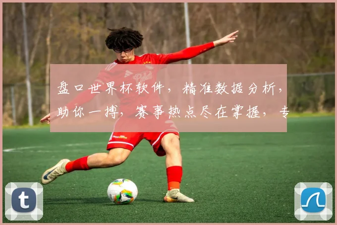 盘口世界杯软件，精准数据分析，助你一搏，赛事热点尽在掌握，专业必看