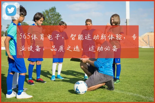 565体育电子，智能运动新体验，专业设备，品质之选，运动必备
