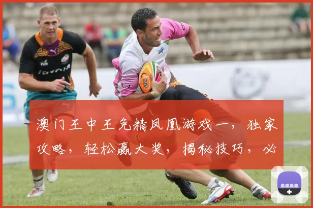 澳门王中王免精凤凰游戏一，独家攻略，轻松赢大奖，揭秘技巧，必看攻略